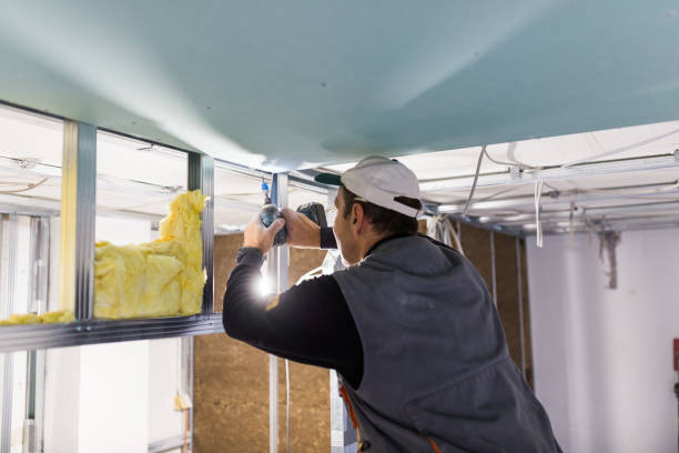 Best Basement Insulation  in Royalton, MN