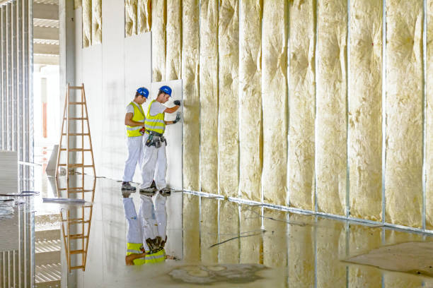 Best Eco-Friendly or Green Insulation Solutions  in Royalton, MN